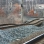 Oprava únosnosti železničního spodku Karlovy Vary – Chodov, 1. TK km 186,614–186,794 – projektové řešení sanace a nepřetržitý autorský a geotechnický dozor