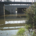 Obr. 10 – Most v km 84,355 – po období výrazných dešťů, spodní voda přetekla nad těsnící vanou