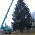 Jeřáby Liebherr při instalaci Vánočního stromu pro Prahu 2015