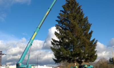 Jeřáby Liebherr při instalaci Vánočního stromu pro Prahu 2015