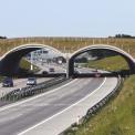 Obr. 2 – Prefabrikovaný zelený most na pražském obchvatu D0 km 2,486