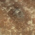Obr. 11 – Detailní pohled na důlkové poškození povrchu oceli a okolí, zvětšeno 6,25× [3]