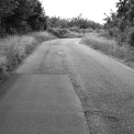 Obr. 1 – Neudržovaná silniční vegetace, silnice III. třídy
